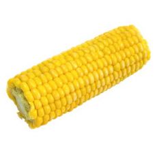 Bicolor Sweet Corn