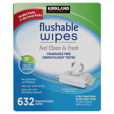 Kirkland Signature Moist Flushable Wipes With Two Travel Packs