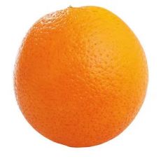 Oranges Case 18.1 KG