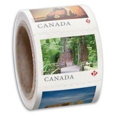 Roll of 100 Postal Stamps
